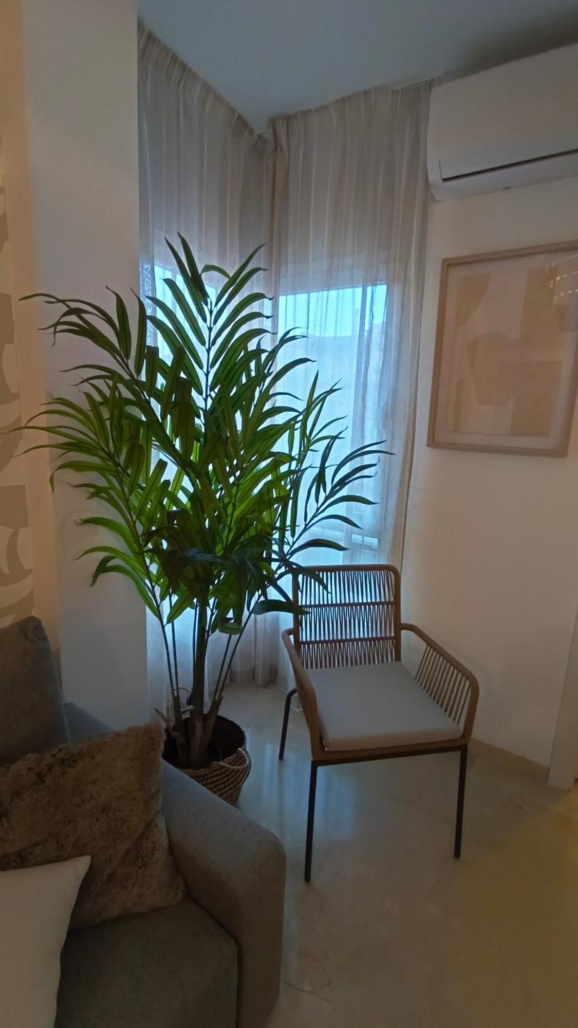 Suites Corazon Andaluz مالقة المظهر الخارجي الصورة